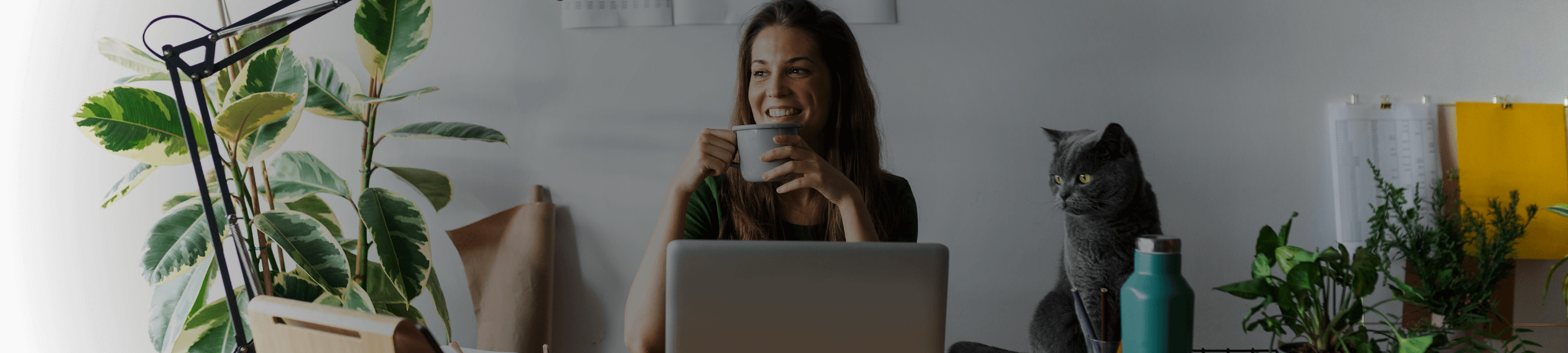 Woman Sitting at Laptop with Coffee and Staring Cat